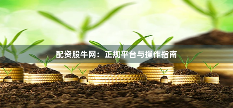 配资股牛网：正规平台与操作指南